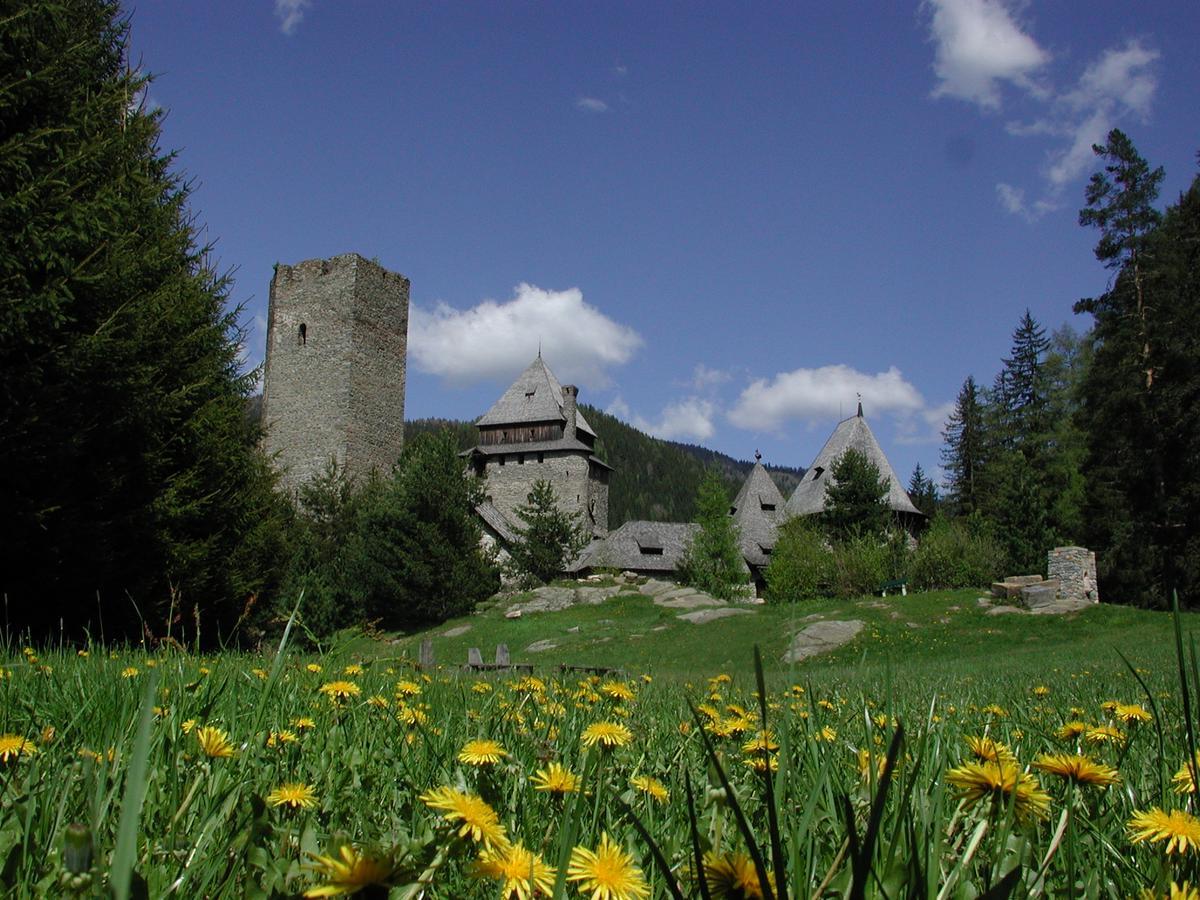 Burg Finstergrun Hostel Ramingstein Екстериор снимка